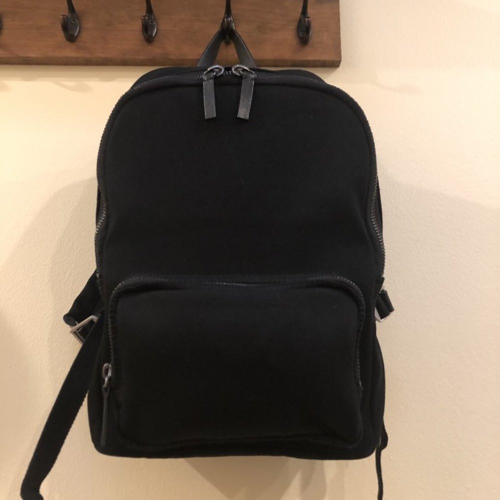 Everlane mini backpack